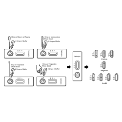 Leptospiroza IgG/IgM szybki test