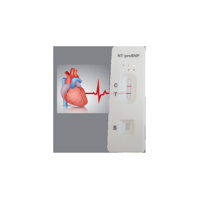 NT-proBNP - 15,10 zł (przy 100 szt.)